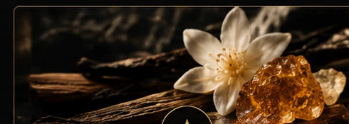 Explore fragrance ingredients